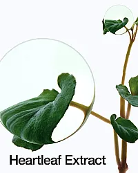 ANUA Heartleaf 77% Soothing Toner 250ml - καταπραϋντικό toner προσώπου - glowfit.gr