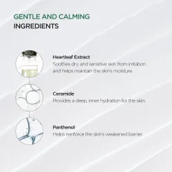 Heartleaf 70% Intense Calming Cream 50ml Heartleaf 70% Intense Calming Cream 50ml