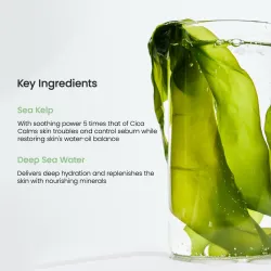 Biodance Refreshing Sea Kelp Real Deep Mask 34g – Μάσκα εξισορρόπησης με Sea Kelp & βαθιά θαλάσσια νερά για λιπαρές και ευαίσθητες επιδερμίδες Biodance Refreshing Sea Kelp Real Deep Mask 34g – Μάσκα εξισορρόπησης με Sea Kelp & βαθιά θαλάσσια νερά για λιπαρές και ευαίσθητες επιδερμίδες