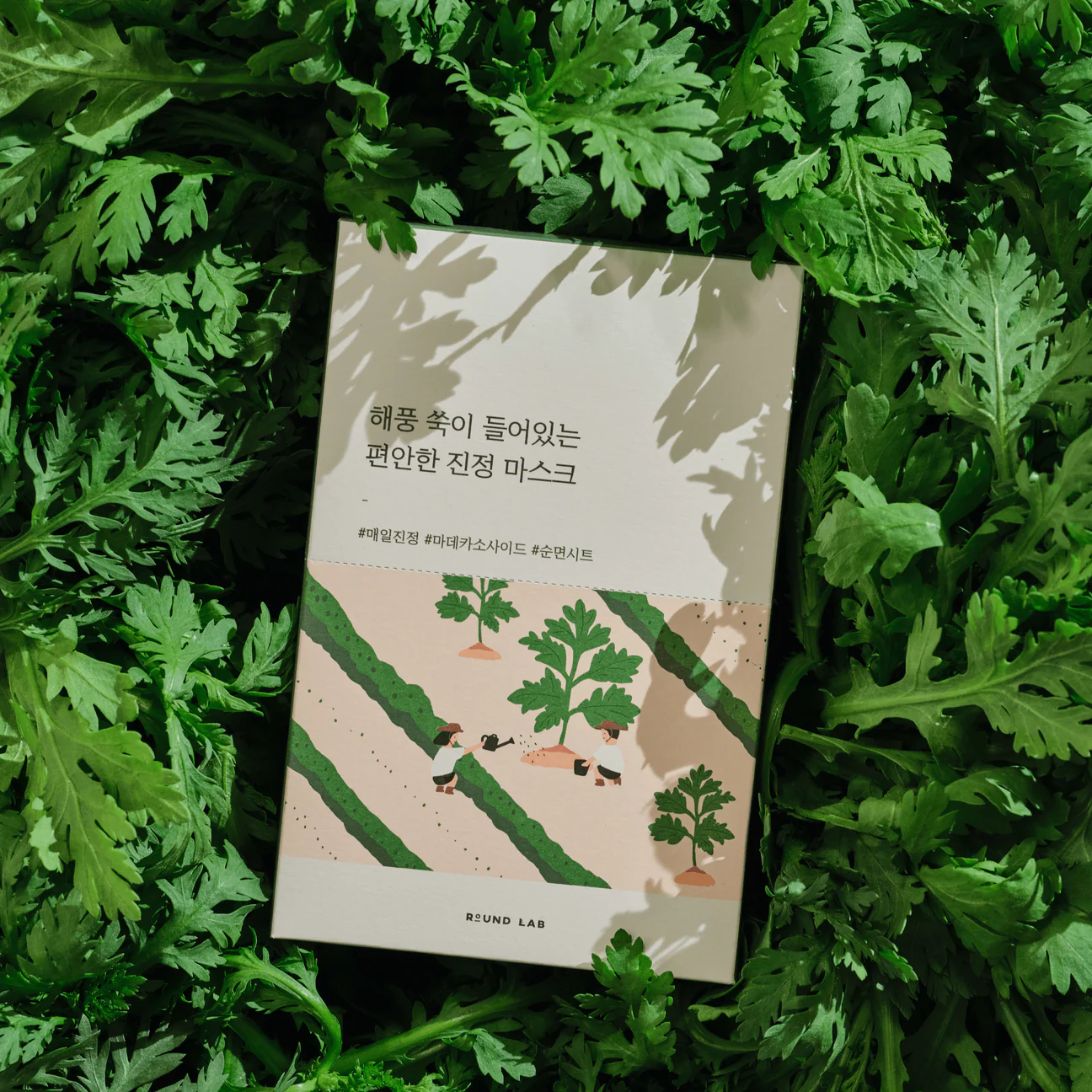 Mugwort Calming Sheet Mask - 25 ml - ROUND LAB - glowfit.gr